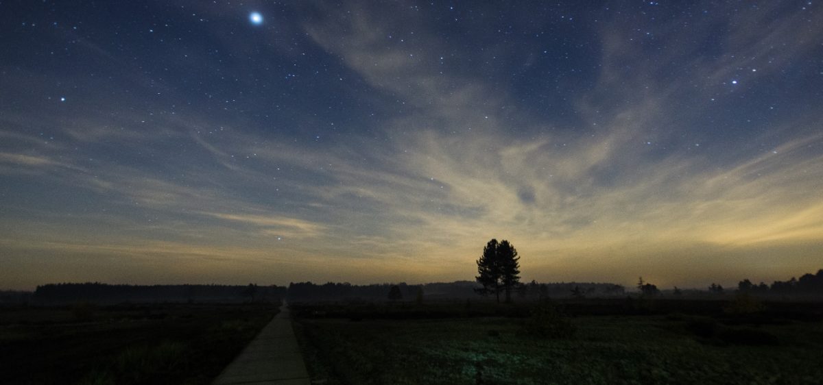 Nacht van het Wad – Ontwakend Landschap