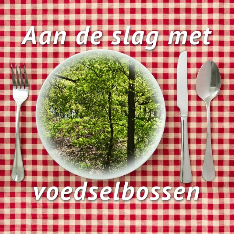Hoe start je met een voedselbos of een moestuin?