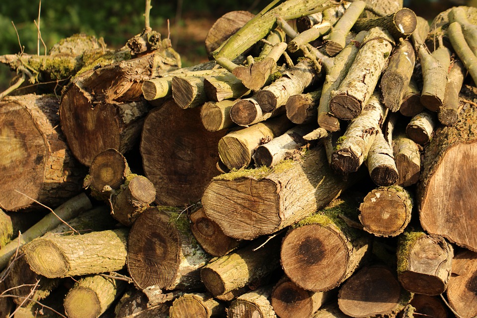 Natuur- en milieuorganisaties stappen uit Convenant Duurzaamheid Biomassa