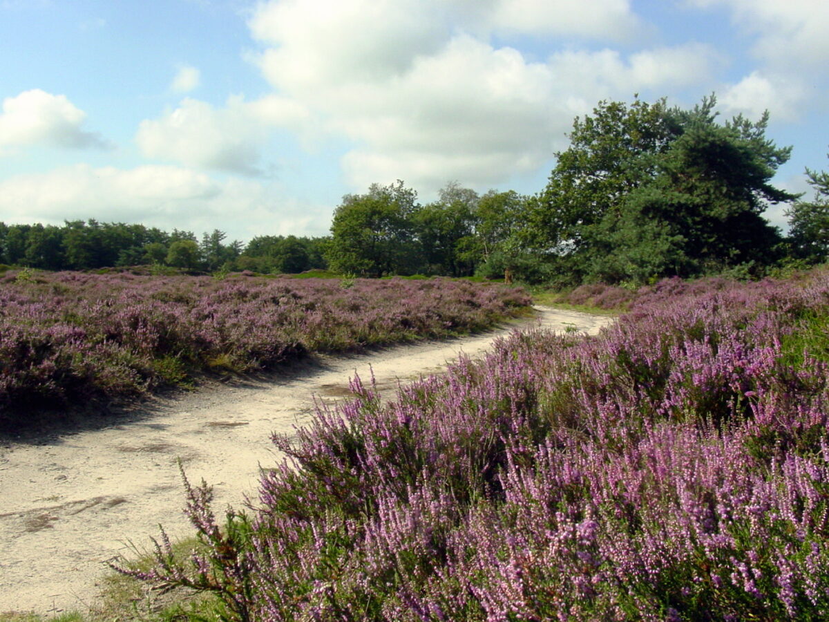 Natuur- en landbouworganisaties doen uniek natuuraanbod