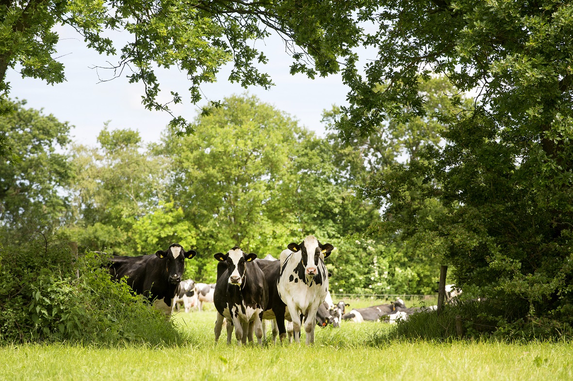 Debatavond over de keuzes en ontwikkelingen in het boerenland op 26 april