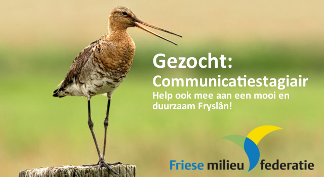 Gezocht: Communicatiestagiair