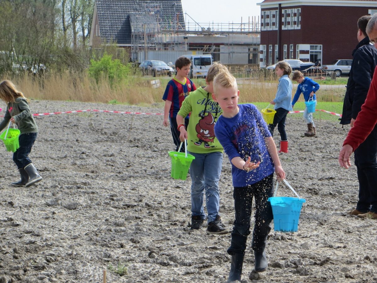 Netwerk van bijenweides begint in Berltsum