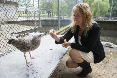 Hetty Sinnema van de Fûgelhelling genomineerd voor ‘Dierenvriend van het jaar’