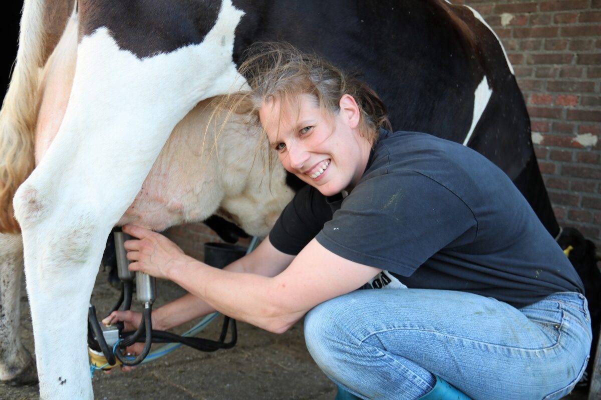 Boer in transitie: Buurvrouw Durkje