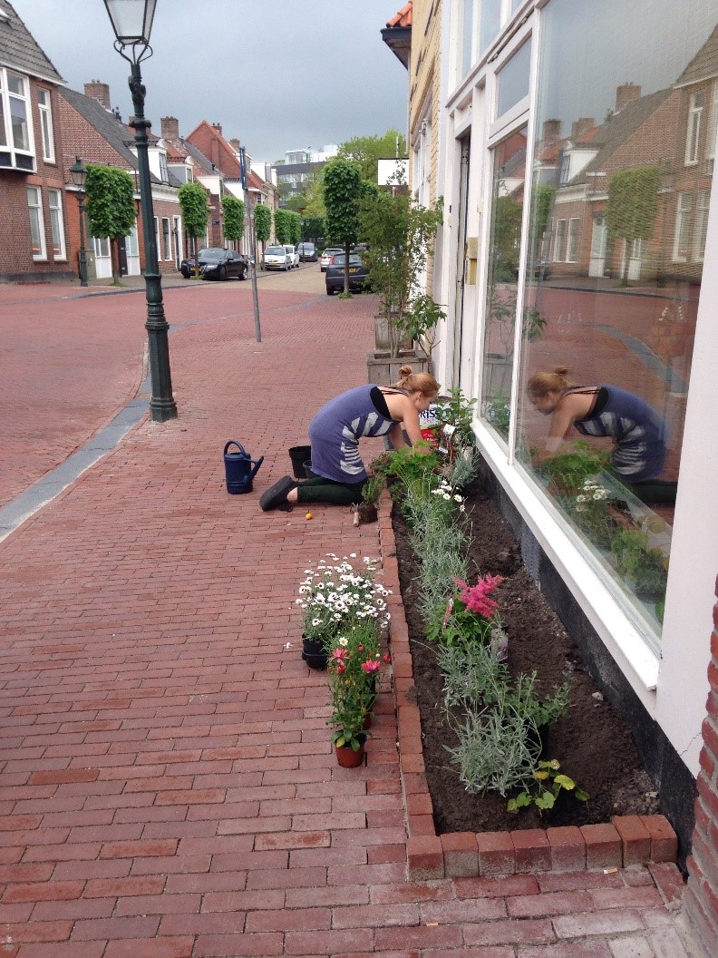 Eerste Friese geveltuinactie: Gevelgroen is het nieuwe grijs!