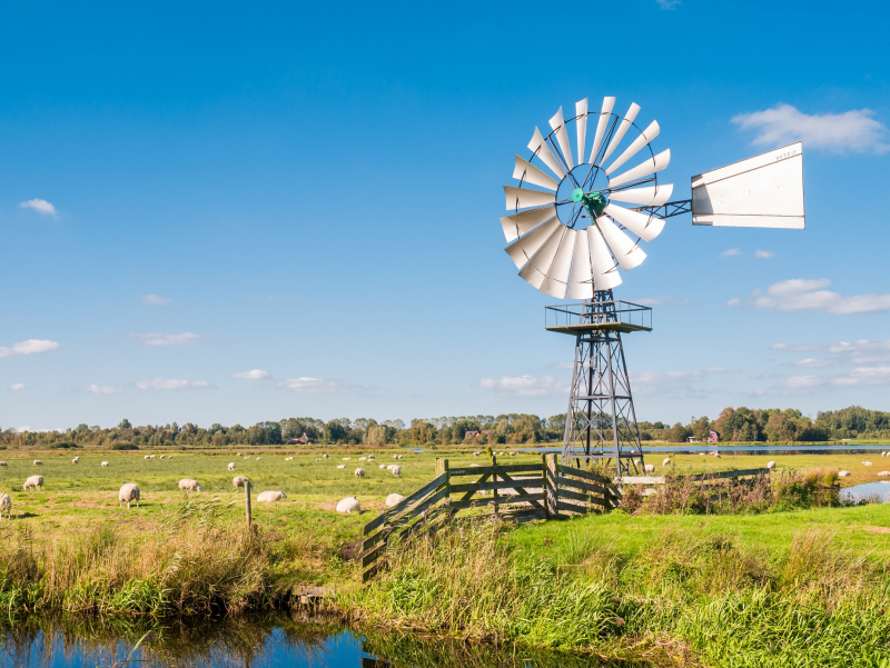 Symposium: Veelzijdig Veen
