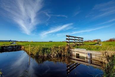 Versnel aanpak veenoxidatie in Natuurgebieden