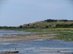 Natuurorganisaties teleurgesteld over besluit Dijksma over zoutwinning Waddenzee