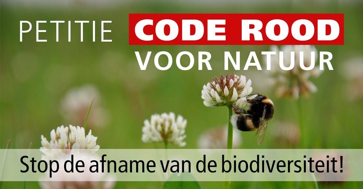 Plein kleurt groen dankzij petitie 'code rood'
