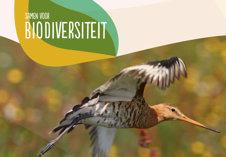 Deltaplan biodiversiteit: gezamenlijke aanpak voor herstel van de natuur   