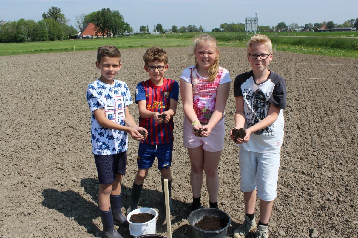 Bijenweide Akkrum-Nes: Fryslân Zoemt!