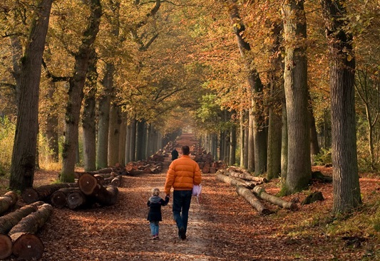 De Groene Loper brengt natuur dichterbij