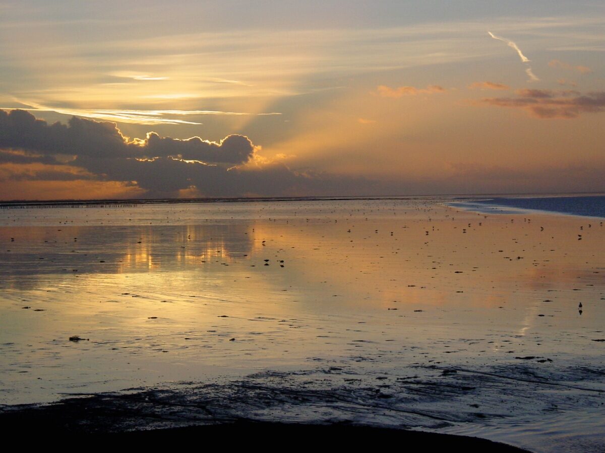 FMF dient zienswijze in betreffende de gaswinning in de Waddenzee