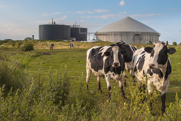In wat voor Fryslân wilt u leven in 2030? Schuif aan en praat mee