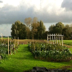 Opleiding Friese Permacultuurlandbouw