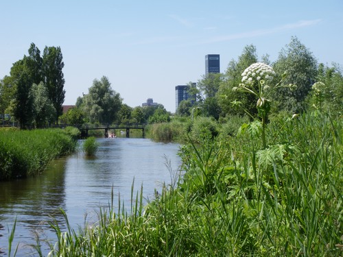 Stadstuin Potmarge; the place to be(e)