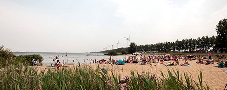 Kom naar het seminar Draagvlak en Participatie Wind op Land