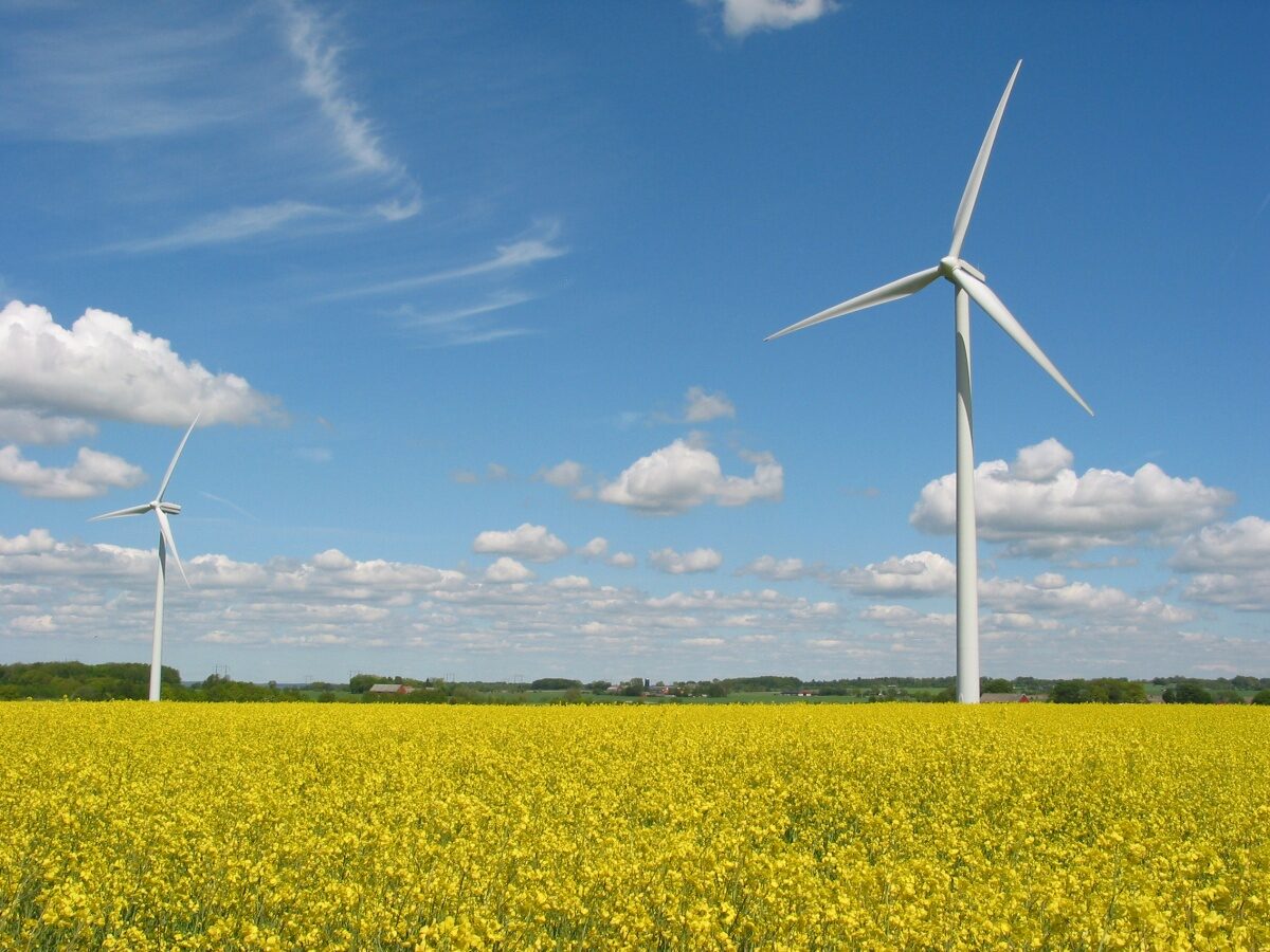 Gebruik de lokale, Friese kracht voor een duurzamer Fryslân