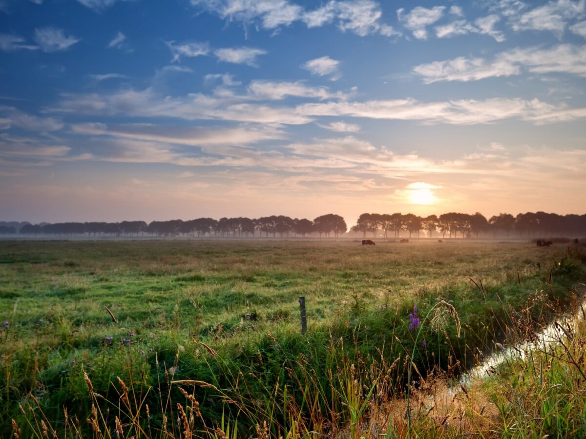 Debatavond: samen trots op het landschap