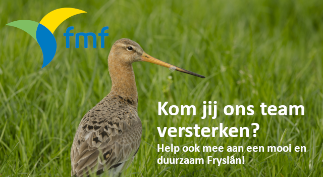 Gezocht: groene communicatiestagiairs!
