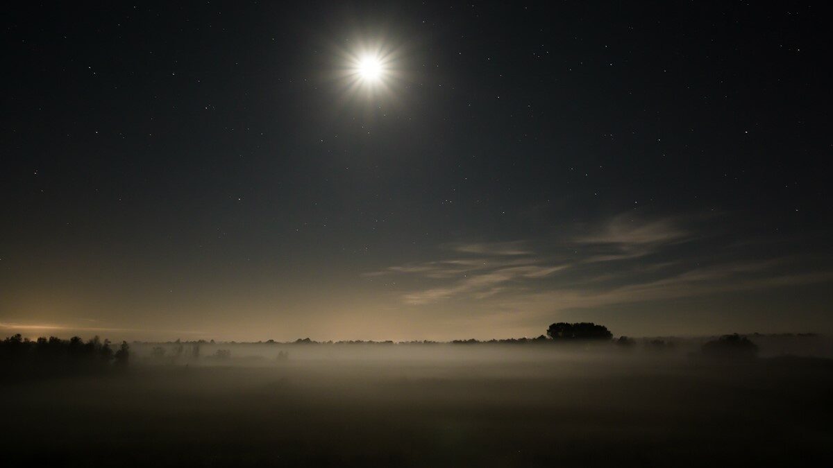 Nacht van de Nacht gaat digitaal in 2020