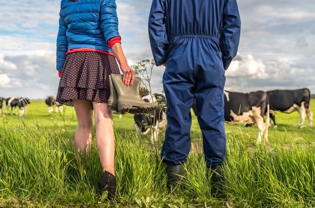 Molke 2.0: Theatrale presentatie over relatie tussen boer en burger