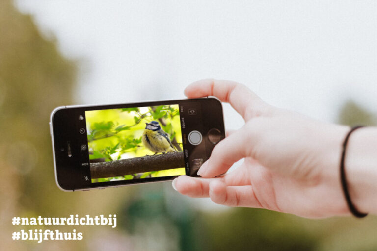 Blijf thuis en doe mee met de #natuurdichtbij fotochallenge