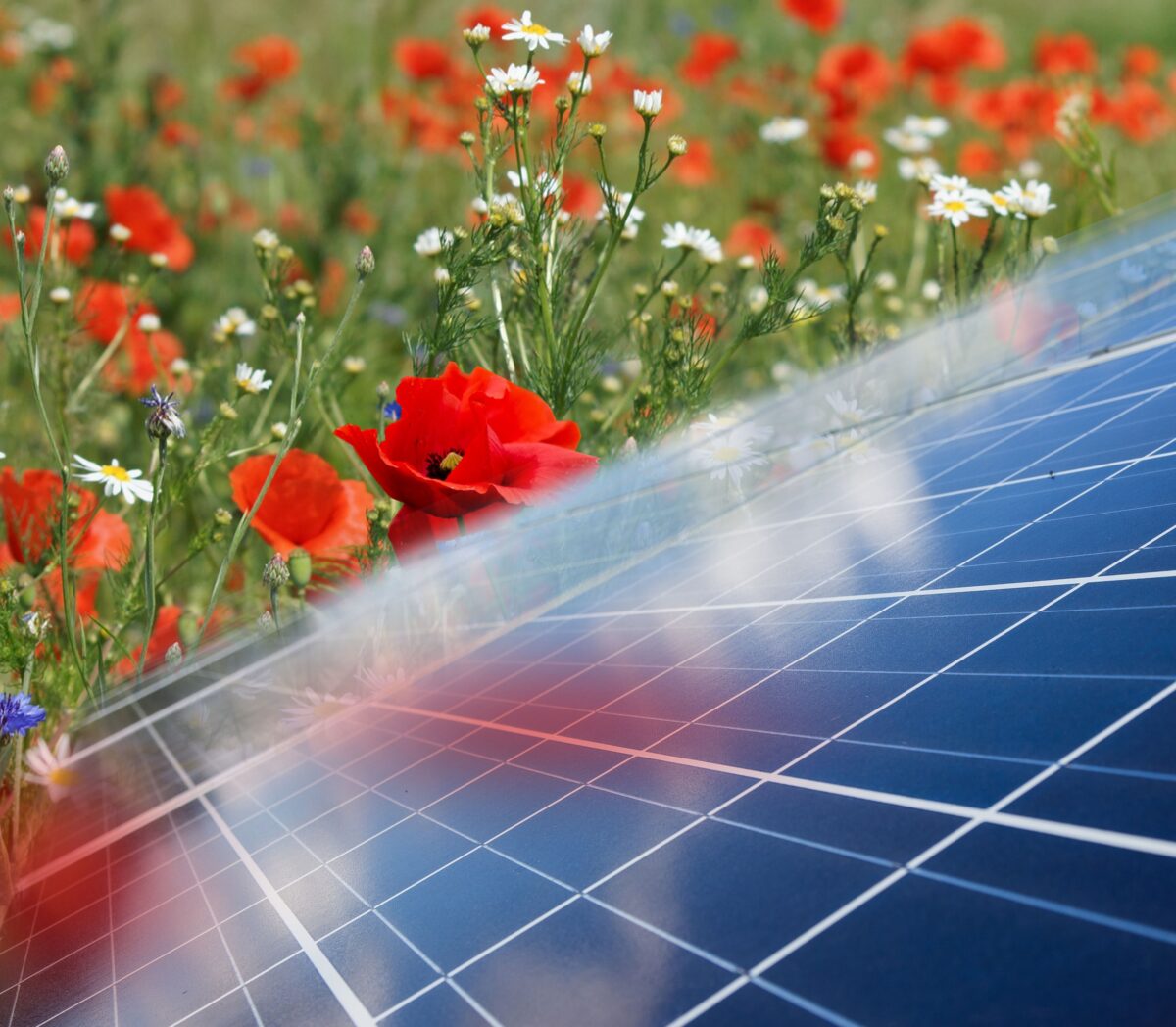 Natuur en landschap verdienen volwaardige plek in de regionale energiestrategieën