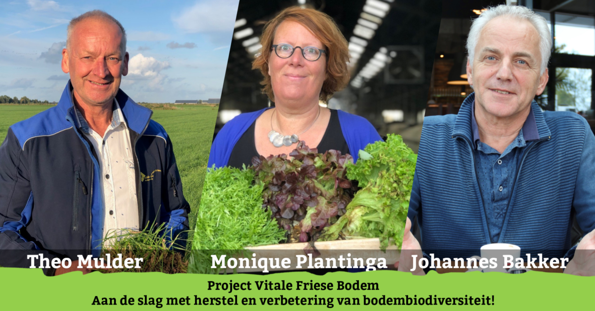 Initiatief Vitale Friese Bodem: Tuinders aan de slag met bodembiodiversiteit
