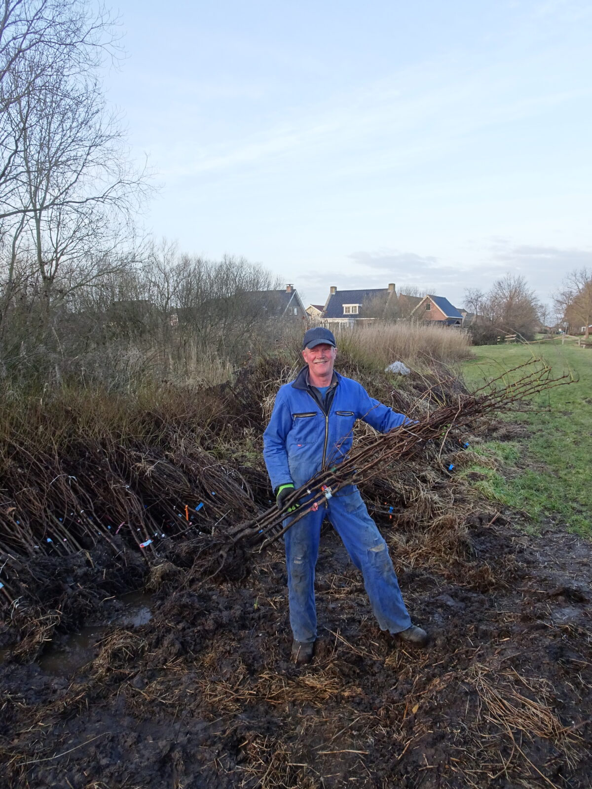 Bomenbezorgdienst Plan Boom gaat Fryslân vergroenen