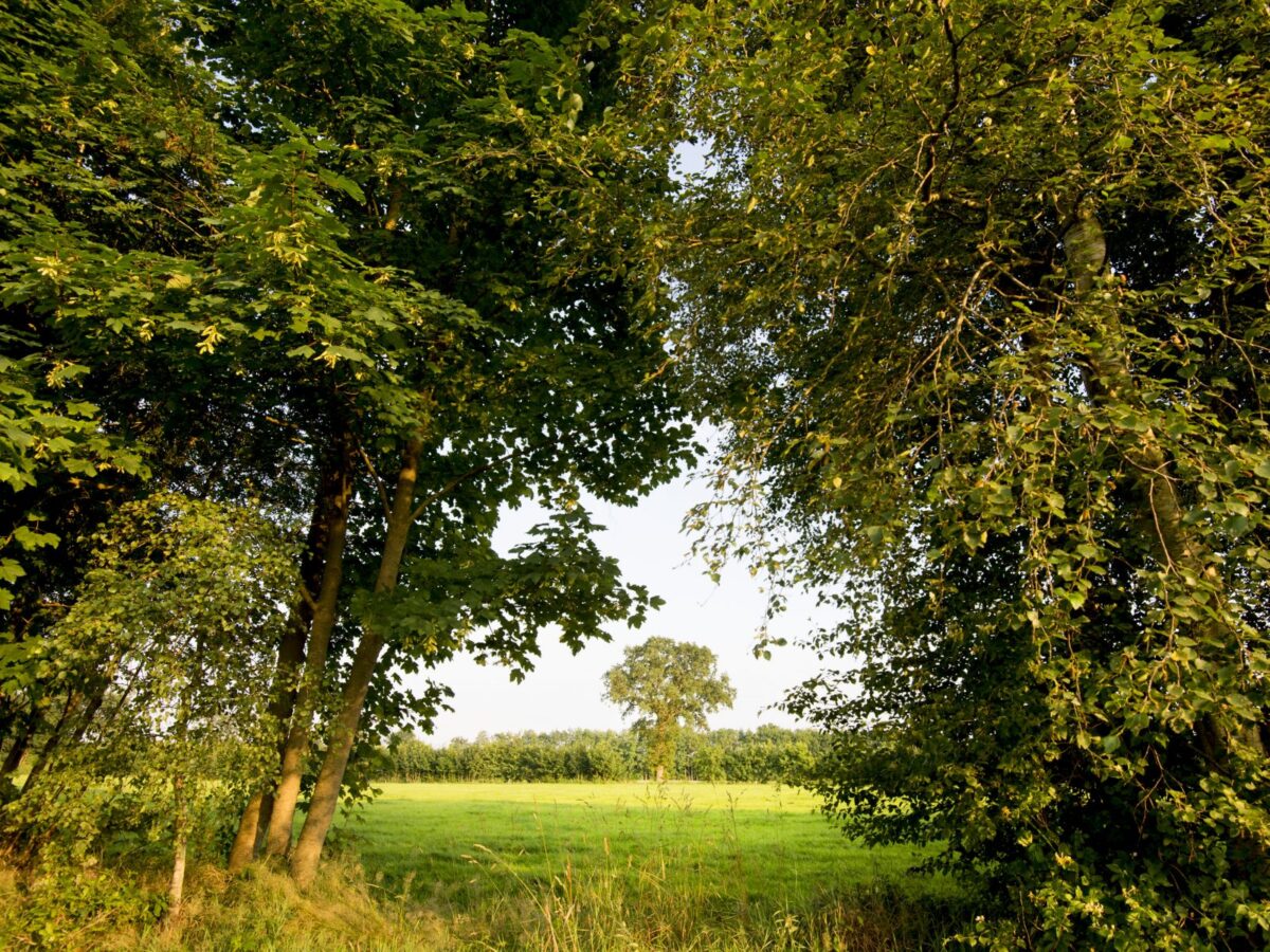 Hofsessie Zandlandschap – meepraten over de toekomst van ons landschap