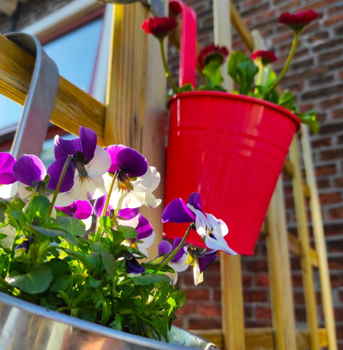 Duurzaam leven: Tuinieren op je balkon