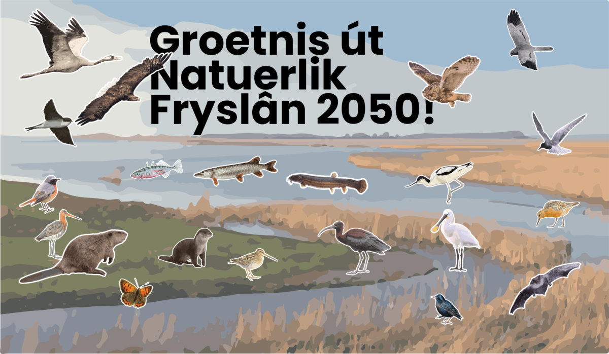 Natuerlik Fryslan 2050, Natuur en landschap als basis voor een langetermijnvisie
