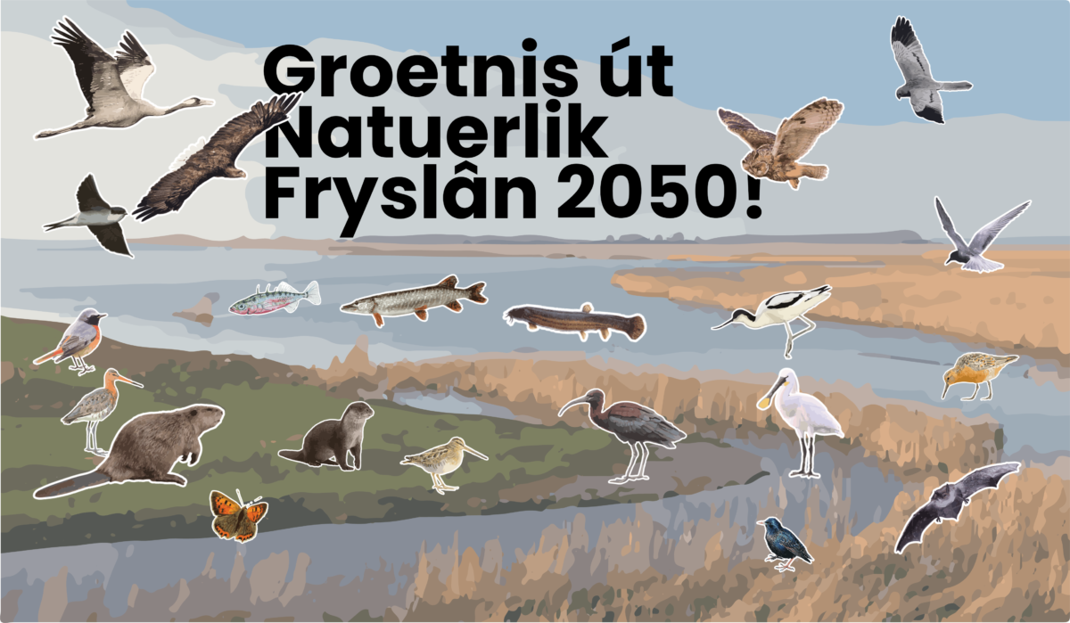 Natuerlik Fryslan 2050,  Natuur en landschap als basis voor een langetermijnvisie