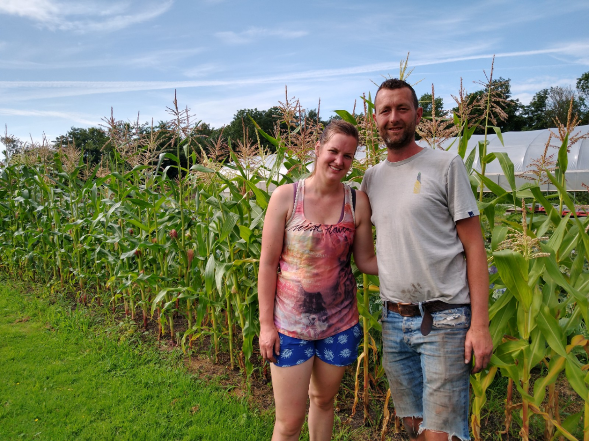 Vitale Friese Bodem: Overvloed aan biologische producten in FARMily Markttuin