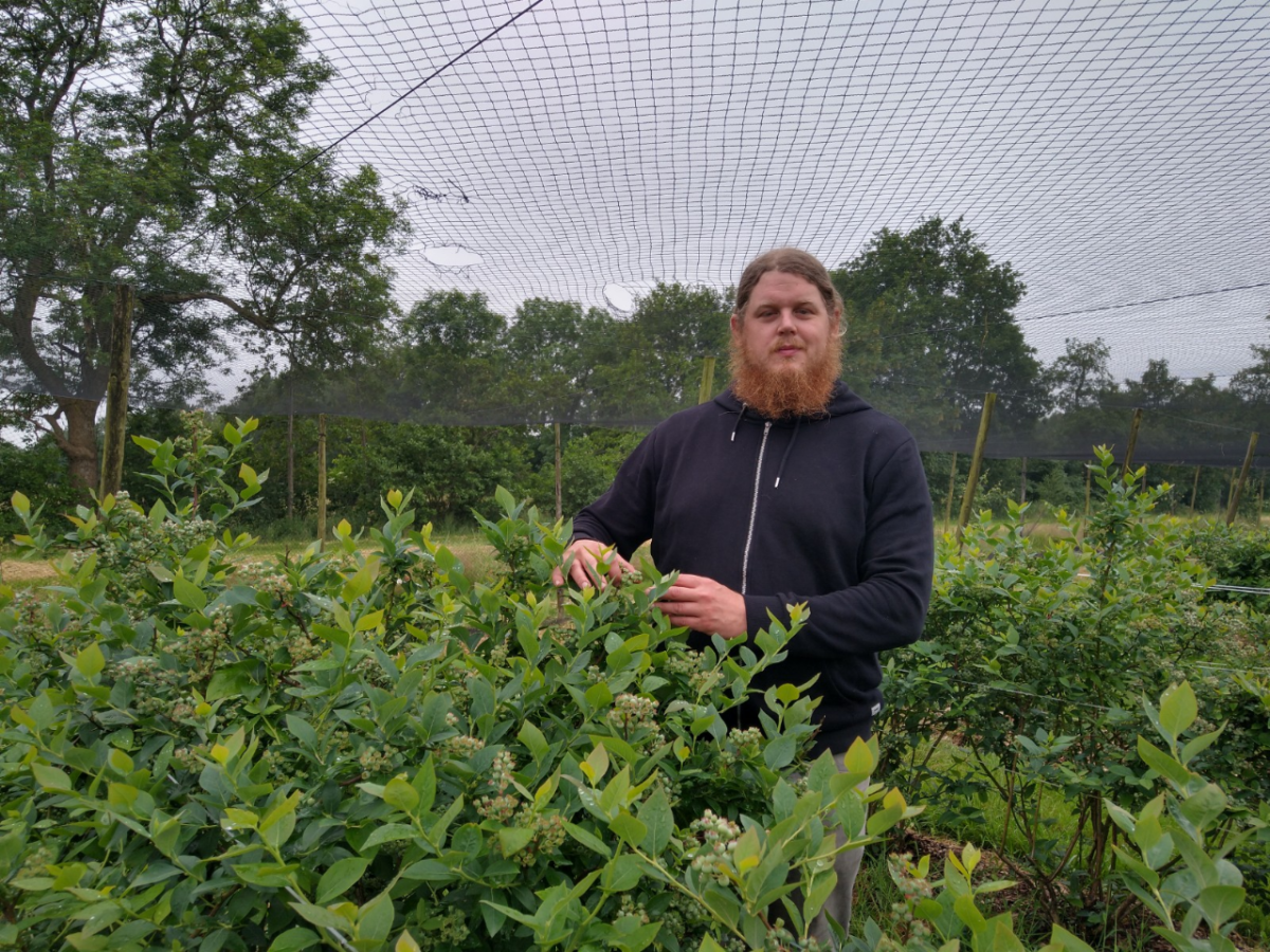 Vitale Friese Bodem: project helpt Henk Vonk de puntjes op de i te zetten