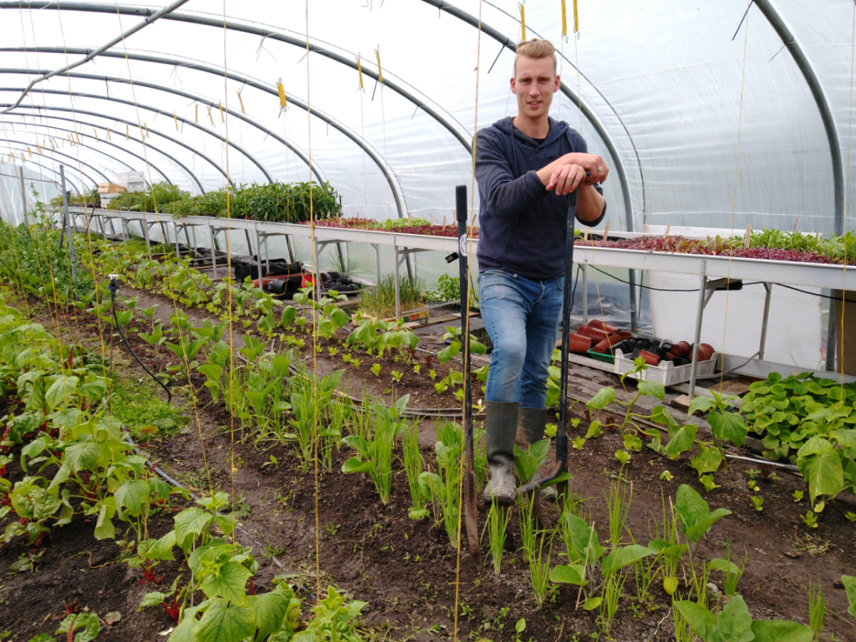 Vitale Friese Bodem: Plattelandspionier Joël van den Broek teelt veertig verschillende groenten op zijn Yn’e Sinne Farm