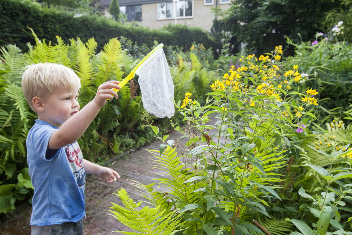 Doe mee met de Train-de-trainerbijeenkomst: ‘Een levende tuin maak je zelf'