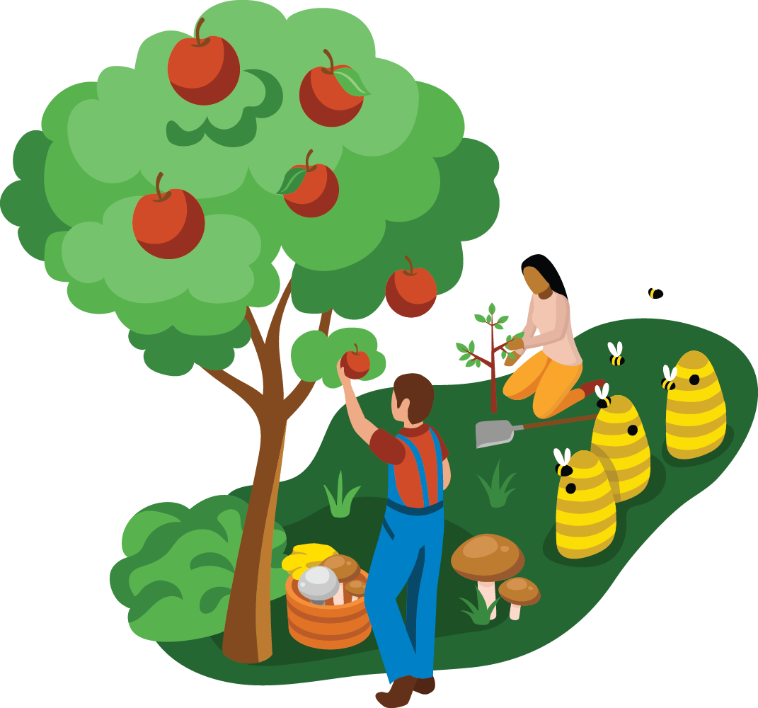 Uitnodiging: kennissessie ‘Agroforestry in Fryslân’