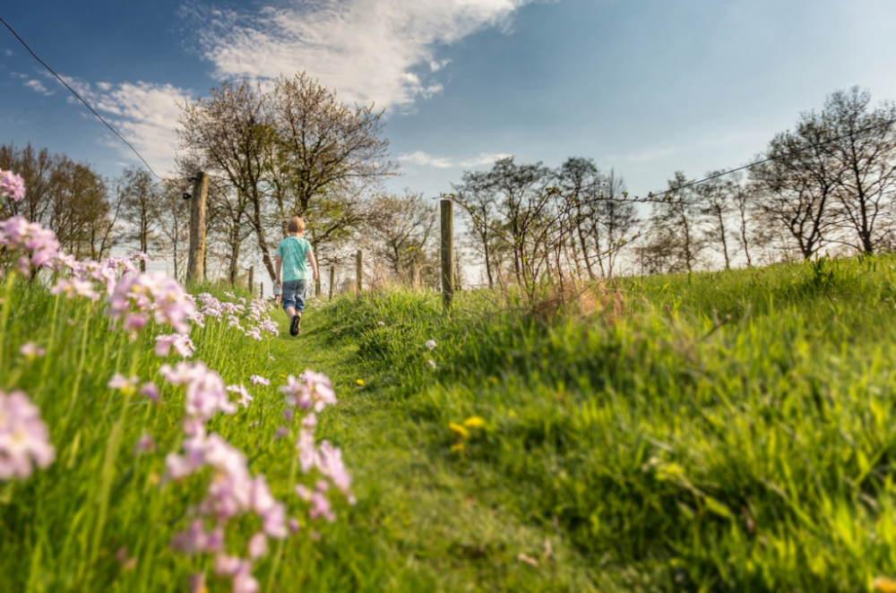 Natuer mei de Mienskip: dit zijn de resultaten tot nu toe