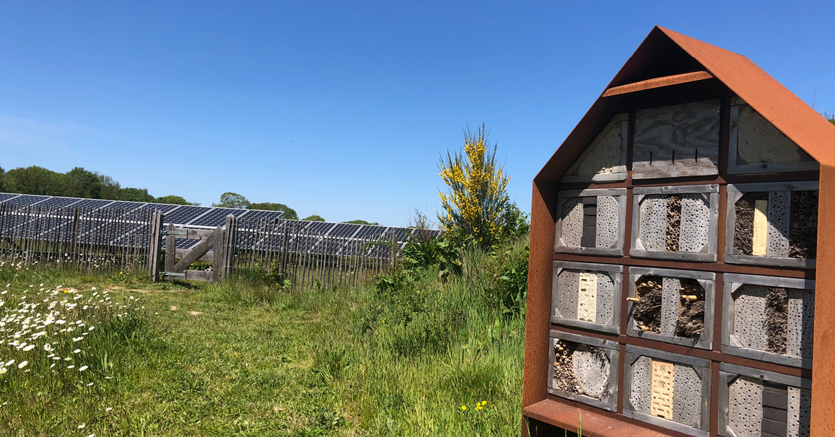 Fryslân heeft 12 nieuwe Energieboswachters!