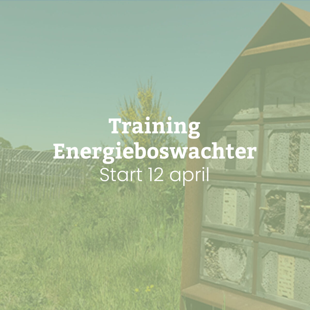 FMF organiseert de Training Energieboswachter!