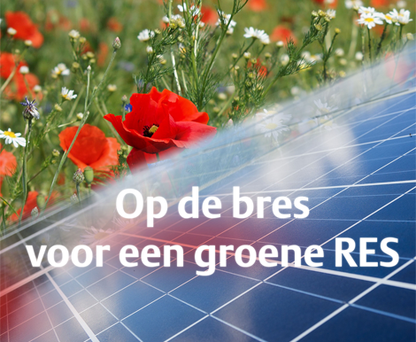 Hoe zorg je als beleidsmaker voor een natuurinclusieve energieopwek? Je hoort het in de podcast van de Natuur en Milieufederaties