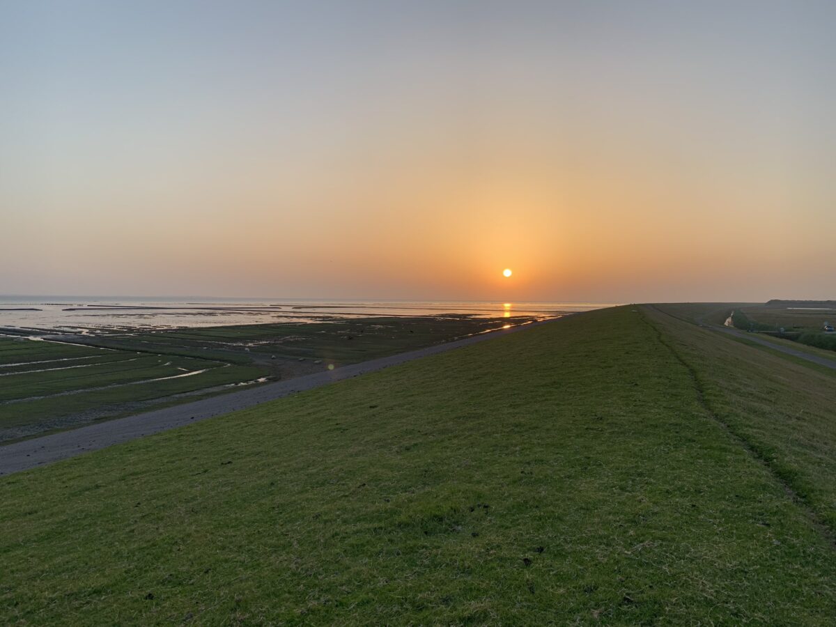 Ontwakend Landschap waddenbreed een beginnend succes