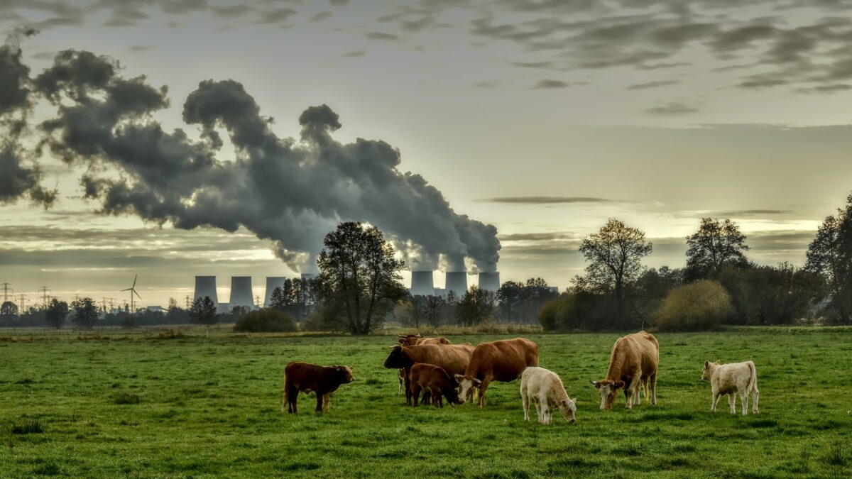 Kolencentrales mogen op volle toeren draaien van kabinet: dit is het statement van de Natuur en Milieufederaties