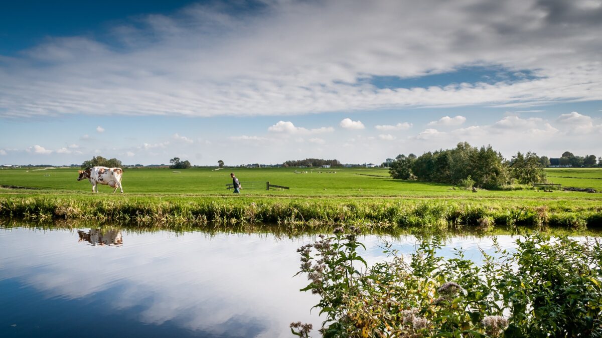 Project Blijvend Grasland: Boeren aan de slag met koolstofvastlegging in grasland 