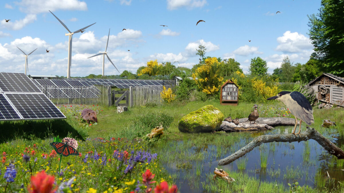Loket Energie & Natuur helpt je op weg