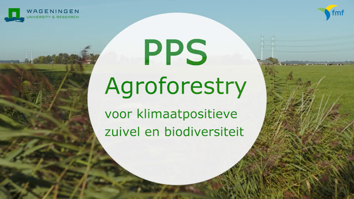 Agroforestry in de praktijk