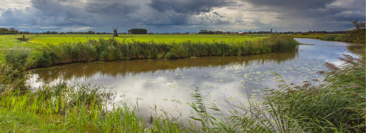Opinie | Wake-up call voor waterkwaliteit in Fryslân